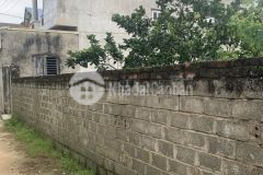 Đất phượng đồng phụng châu chương mỹ hn.dt 391m2.mt 11m.giá6.835 tỷ.