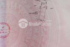 Cần tiền bán gấp lô đất tại bàu bàng bình dương giá rẻ