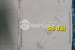 Bán rẻ lô đất 5x34 tại gò dầu tây ninh chỉ 245 triệu