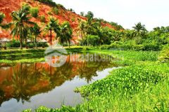 Đất 2 mặt tiền suối tiên hàm tiến mũi né phan thiết dt 3.000m2cln.