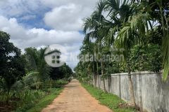 D725 đất siêu đẹp bán 2 lô liền kề xã draysap