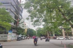 Nhà phố văn cao vị trí đẹp mặt tiền khủng