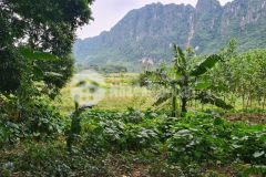 Bán gấp đất lương sơn,hòa bình 3100m2, giá 3,1 tỷ