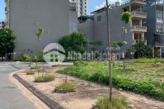 Bán đất khu tái định cư long biên, 40m, đường 6m, vỉa hè 3m.