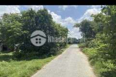 Ban dât đương nguyên thi nê xa phu hoa đông huyên cu chi tphcm