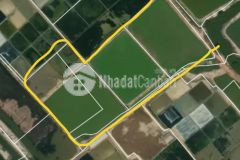 Cần bán lô đất mặt tiền đường xe hơi, đường đê muối tiền giang, lý nhơn, cần giờ,