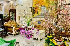 Biệt thự khủng bình thạnh,lê quang định 268m2,giá 38 tỷ