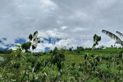 Cắt lỗ nhanh mảnh đất 2800m2 tại y tý sapa 2 giá đẹp cho các nhà đầu tư