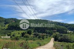 Giá đầu tư chỉ 2,5trm đất diện tích lớn tại xã tà nung thành phố đà lạt