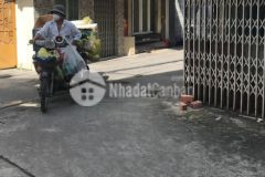 Bán nhà quận 11 lạc long quân. hẻm xe hơi chạy siêu rộng. kd tốt 31m2