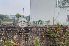 Bán nhanh lô đất thổ cư xóm 7 đông dư 186m, gia lâm. đường ô tô 7 chỗ vào đất giá 35trm2