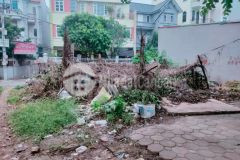 Bán đất tặng nhà mặt đường phố đàm quang trung dt 210m2 mt 30 mét giá 21.5 tỷ