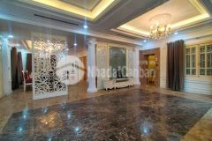 Chính chủ bán biệt thự vip tại kđt việt hưng, 245m 4 tầng view vườn hoa, 37 tỷ, 0838522333