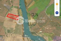 4500m2 đất hồng thái mặt tiền đường rộng 45m, giáp sông suối giá đầu tư chỉ 590 triệu