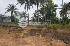 Cần bán gấp 80m2 đất xã phước đông, huyện gò dầu, shr, 390tr. lh0839034034