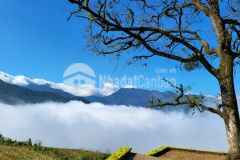 Đón đầu sóng quy hoạch tiềm năng tăng giá cực cao y tý