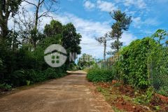 Đất buôn komleo thích hợp ở hoặc đầu tư