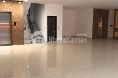 88m2 x 7 tầngthang máy x 6.8m mặt tiền quận tây hồ, hà nội 19.5 tỷ