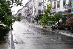 Bán nhà lk văn khê hà đông 83m giá 7,95 ti kinh doanh văn phòng.