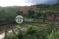 Bán mảnh đất làm farm giá đầu tư mộc châu sơn la