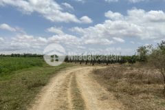 Bán lô đất 4334m2 view sông lũy, 3 mặt tiền đường giá đầu tư f0, ngay khu thanh long.