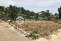 Bán 79m2 đất mt5.3m lô góc ô tô tránh tiềm năng cao thạch bàn long biên nhỉnh 6tỷ