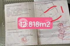 Đất lớn 12,818 m2 sẵn vườn cà phê đang thu hoạch view sông đồng nai lâm hà lâm đồng