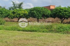 Bán rẻ lô đất thị xã trảng bàng 5x71 thổ cư chỉ 492 triệu