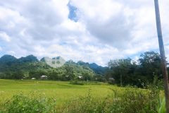 Bán 1252m đất tân lạc, view cánh đồng giá hơn 500tr