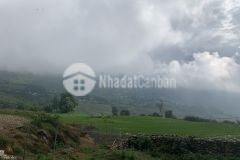 Chỉ còn một mảnh 300m2 duy nhất tại y tý phù hợp cho nhà đầu tư đón sóng quy hoạch