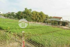 670 m2 đất vườn kdc mỹ lộc, cần giuộc chỉ 1.2 tỷ