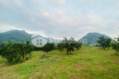 Bán 4000m có 1000 thổ cư đất cao phong view đẹp giá hơn 400km2