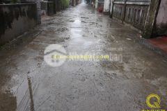 Nhà đất bán tại quảng trị,triệu thành.liên hệ 0846661456