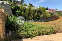 Bán lô đất biệt thự khu nam hồ phường 11 tp đà lạt.