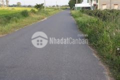 Đất thôn 6 hàm chính hàm thuận bắc bình thuận dt 9.614m2.