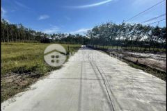 Bán nhanh lô đất hơn 1000m sổ sẵn giá 350 triệu