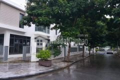 Bán lô đất vàng văn quán dt 64m2, mt 5m. kinh doanh dòng tiền đỉnh. giá nhỉnh 6 tỷ