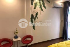 Bán nhà siêu rẻ võ văn kiệt, phường cô giang, 20m2, chỉ 4.3 tỷ tl