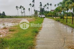 280m2 10m ngang giả chỉ 390 triệu chợ văn bân đức chánh, mộ đức