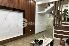 Cho thuê nhà kiều sơn cực kì okkk o to đỗ cửa