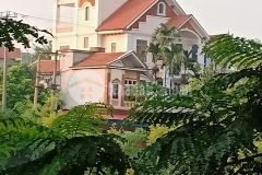 Bán biệt thự khu tân dân, tân dân, sóc sơn, diện tích 355m2. mặt tiền 15m, giá 5.68 tỷ.