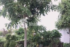 Bán đất kdt an bình tân phường phước long nha trang giá 2,850 tỷ