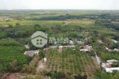 Bán 1000m2 xã hòa bình, h.xuyên mộc, brvt, shr, 850 triệu. lh0839034034