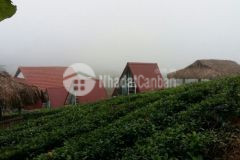 Bán mảnh đất hơn 1000m2 thị trấn mộc châu pháp lý rõ ràng, an toàn để đầu tư