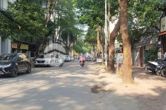 Bán nhà cầu giấy, phố dương khuê. vỉa hè, ô tô, kd. 100m2 mt9m 21 tỷ