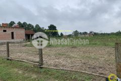 Nhà đất bán tại quảng trị,gio quang, gio linh.liên hệ 0846661456