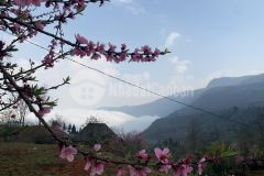 Bán mảnh đất 2500m2 mò phú chải thôn săn mây đẹp nhất y tý