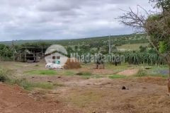 Bán 6996m2 đất vườn hồng thái gần đường liên huyện, liên xã chỉ 909tr lh 0938677909 hiền xem sổ