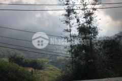 Mảnh đất gần 2.000m2 view ngắm thung lũng y lính hồ sapa đẹp lung linh giá thích hợp để đầu tư