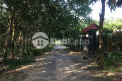 Bán đất vườn cao su 2 mặt tiền xã truông mít,dương minh châu 60x145m,giá 4 tỷ